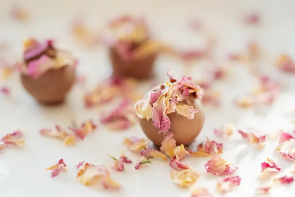 Kasino Palm Slots Apl Android/iOS